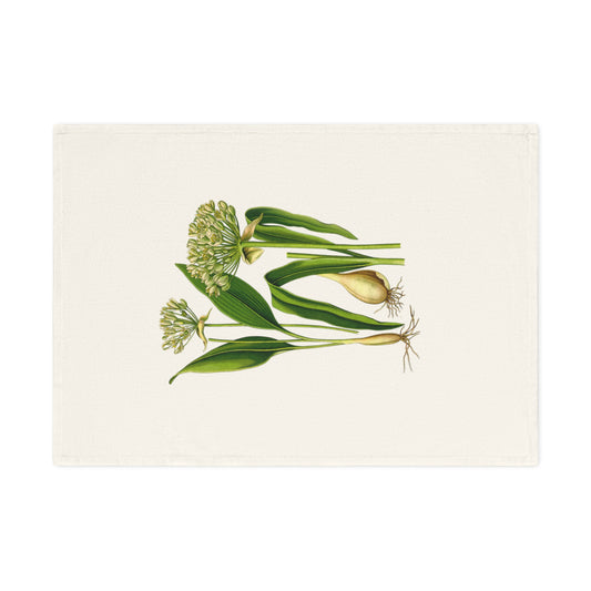 Botanisches Küchenhandtuch Bärlauch, 100% Bio-Baumwolle, umweltfreundlich, Handtuch für Pflanzenliebhaber, stilvolles Küchenhandtuch