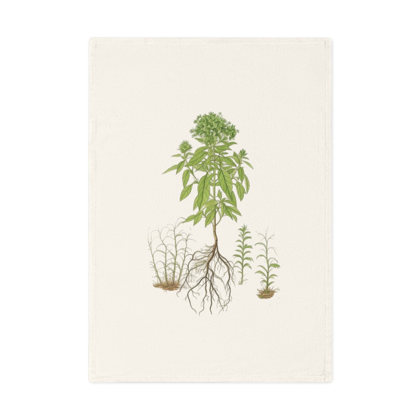 Botanisches Küchenhandtuch Basilikum - 100% Bio-Baumwolle, umweltfreundliches Geschenk, Pflanzenliebhaber Handtuch, kunstvolle Küchendeko
