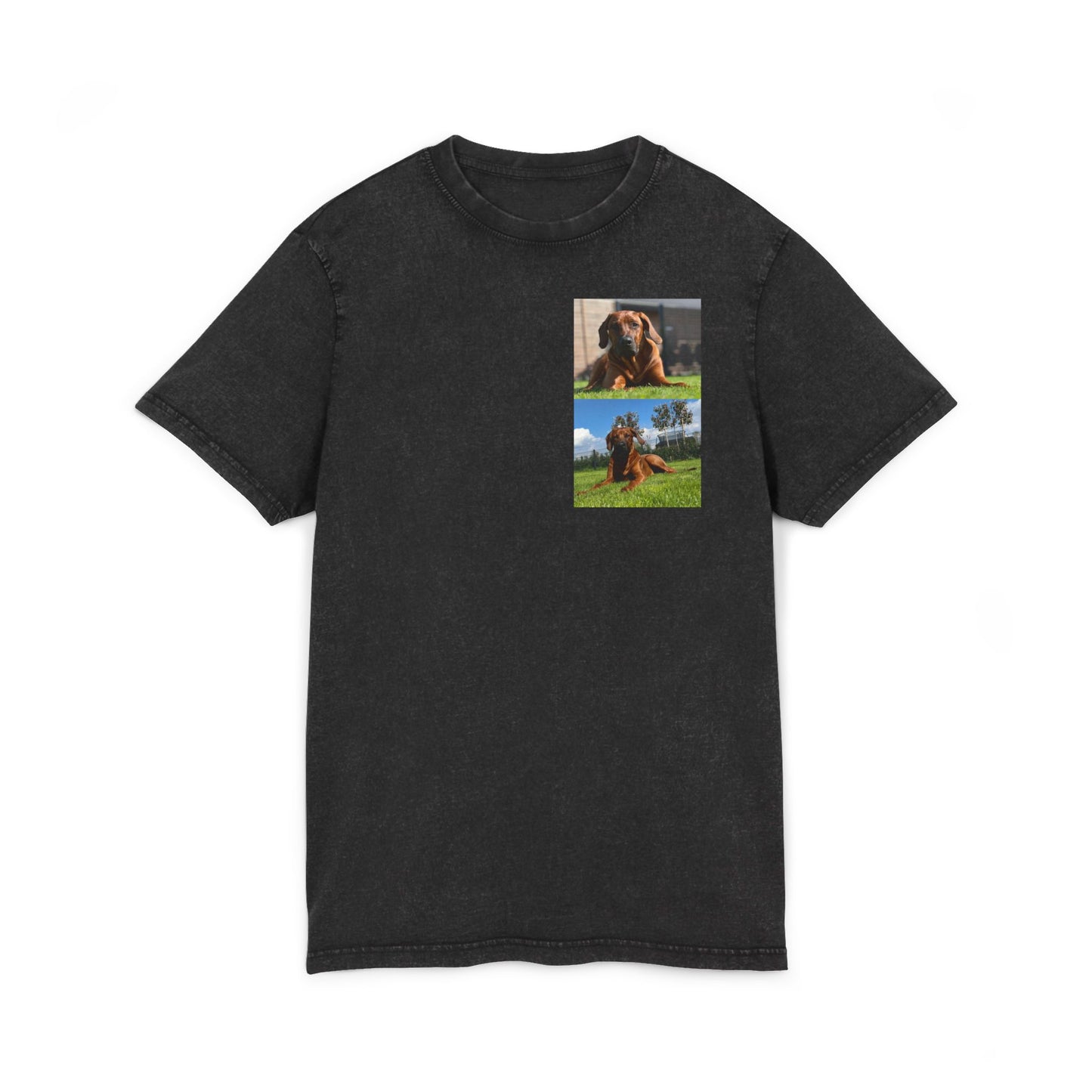 Dog print Vintage Style Acid Washed Round Neck Tee - Eco-Friendly T-Shirt, Everyday