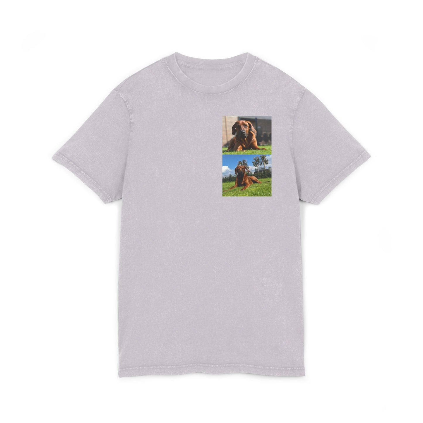 Dog print Vintage Style Acid Washed Round Neck Tee - Eco-Friendly T-Shirt, Everyday