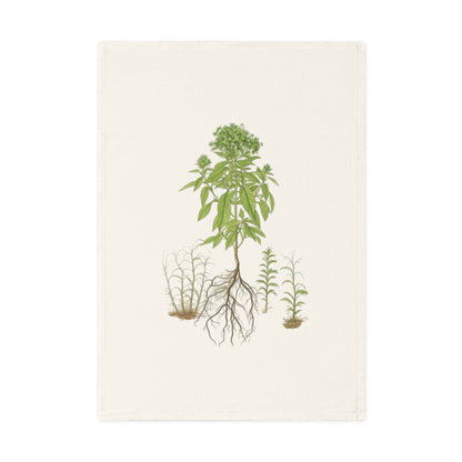 Botanisches Küchenhandtuch Basilikum - 100% Bio-Baumwolle, umweltfreundliches Geschenk, Pflanzenliebhaber Handtuch, kunstvolle Küchendeko