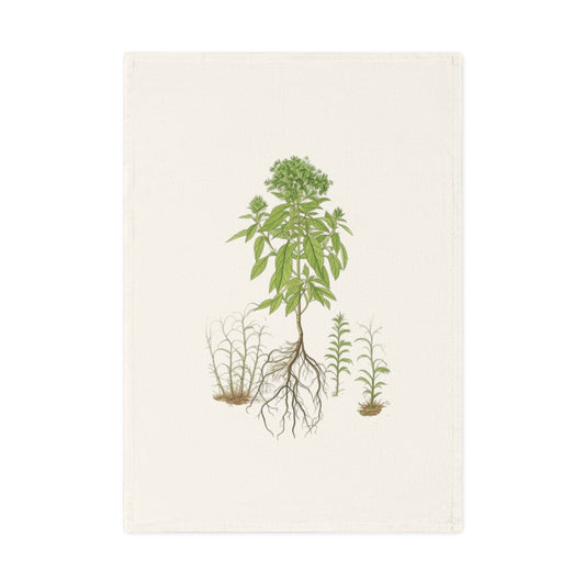 Botanisches Küchenhandtuch Basilikum - 100% Bio-Baumwolle, umweltfreundliches Geschenk, Pflanzenliebhaber Handtuch, kunstvolle Küchendeko