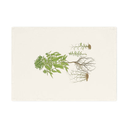 Botanisches Küchenhandtuch Basilikum - 100% Bio-Baumwolle, umweltfreundliches Geschenk, Pflanzenliebhaber Handtuch, kunstvolle Küchendeko