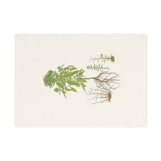 Botanisches Küchenhandtuch Basilikum - 100% Bio-Baumwolle, umweltfreundliches Geschenk, Pflanzenliebhaber Handtuch, kunstvolle Küchendeko