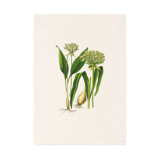 Botanisches Küchenhandtuch Bärlauch, 100% Bio-Baumwolle, umweltfreundlich, Handtuch für Pflanzenliebhaber, stilvolles Küchenhandtuch