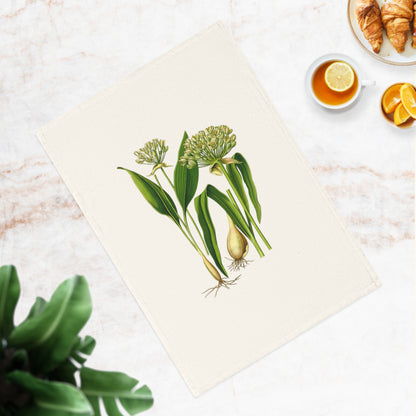 Botanisches Küchenhandtuch Bärlauch, 100% Bio-Baumwolle, umweltfreundlich, Handtuch für Pflanzenliebhaber, stilvolles Küchenhandtuch